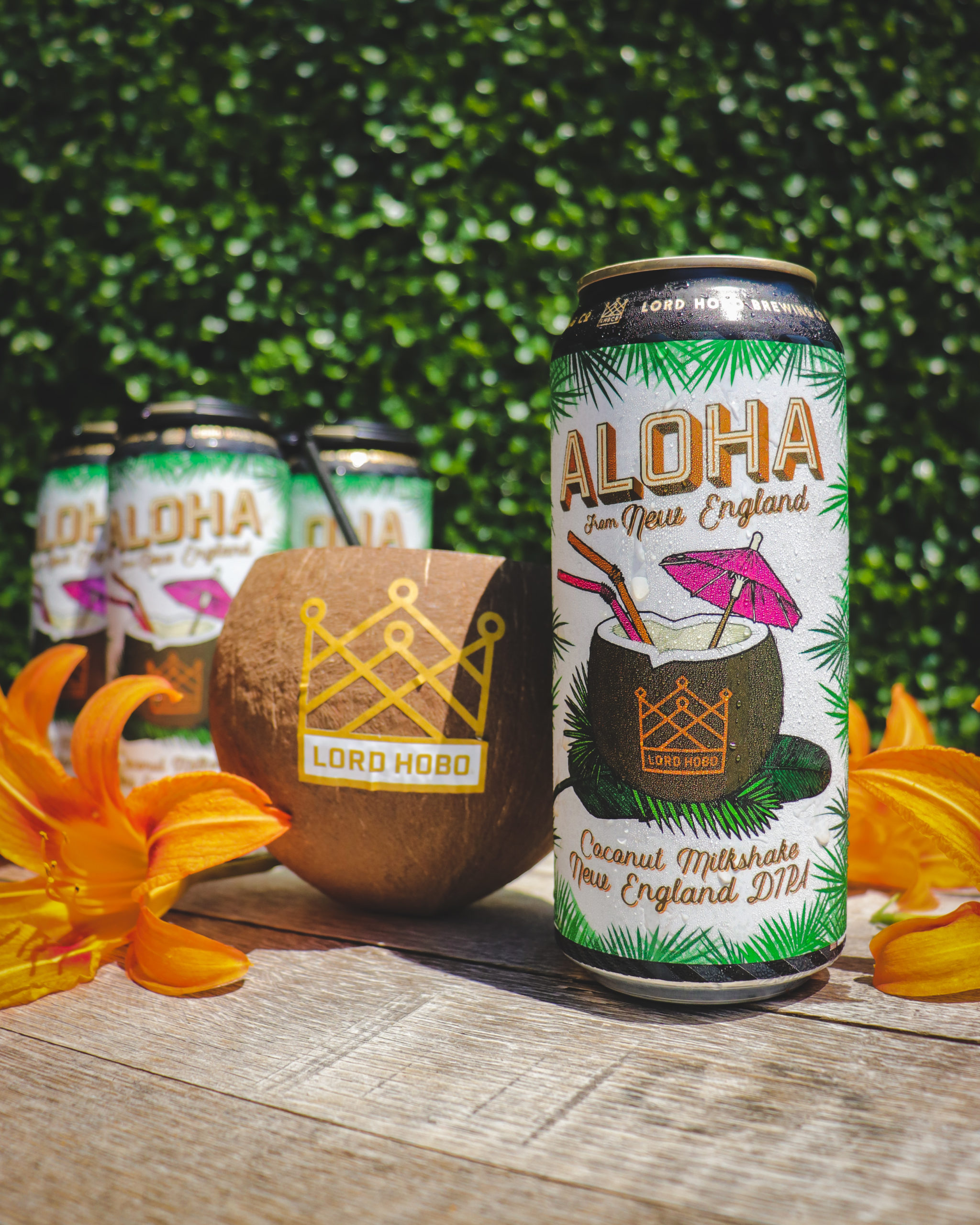 Aloha - 4x5-2